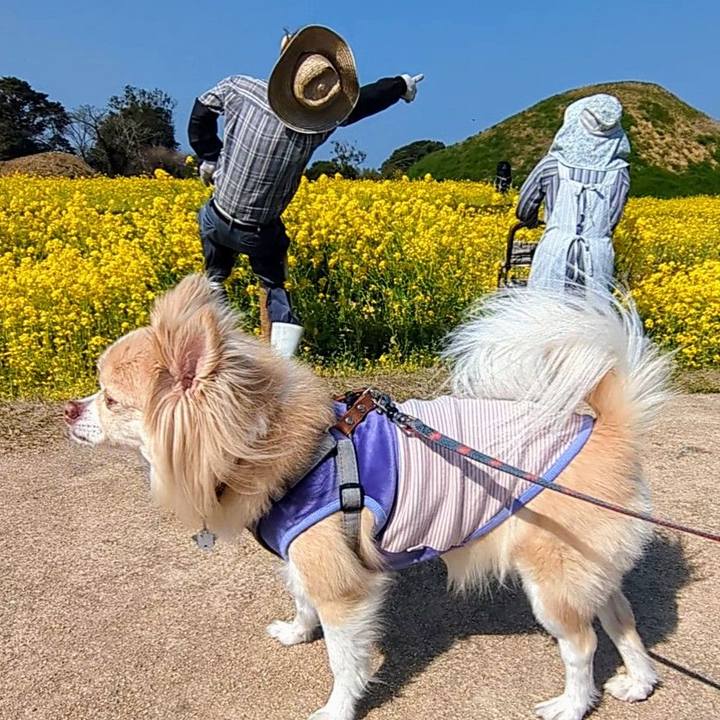 76f3fdae 07c0 4d61 96c5 ecd6bd098f9e 1764128169733