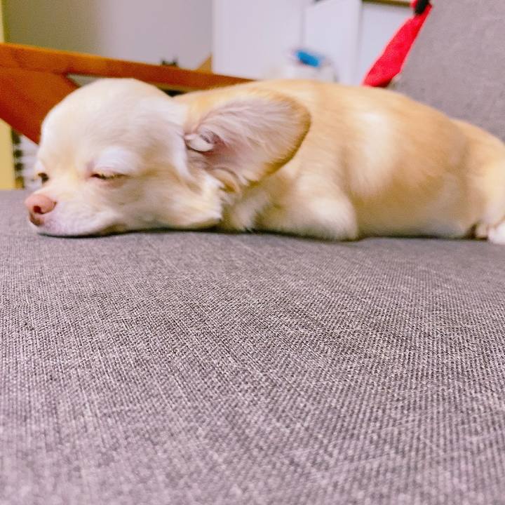 76f41f95 39dc 4a9d 88b8 fcee11b8154d 1628928984631