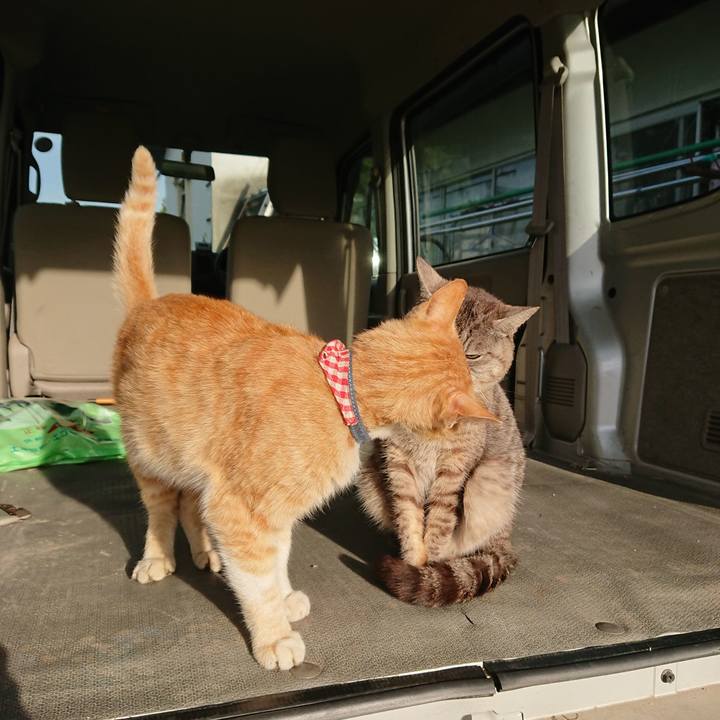 76f42b57 5ae2 482d 94ab b2dbb4459a8a 1559249856578