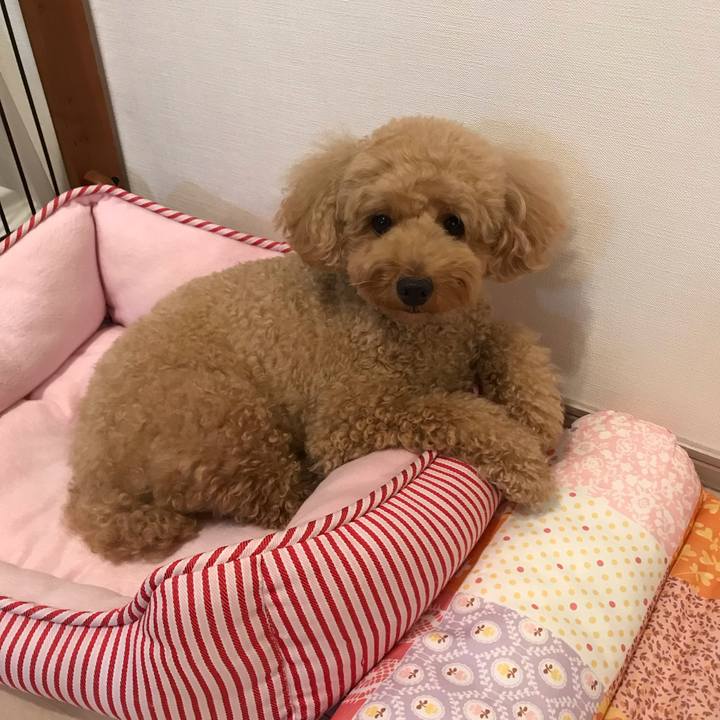 76f43550 b1dc 4a9a bd4e b44c7dda38e8 1568905784591