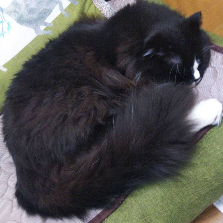 76f45170 5a28 4619 be59 5767d9eb1f7b 1656591267287