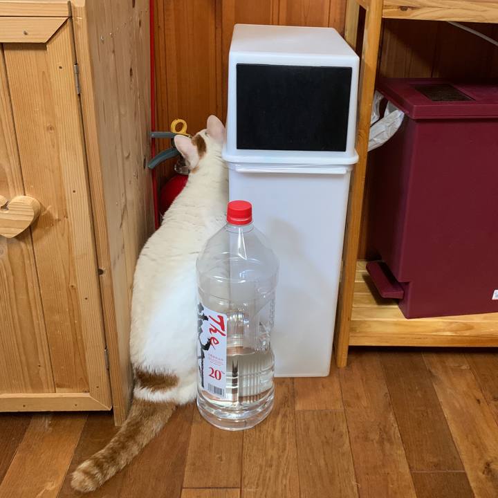 76f477dc 1c83 4698 af4b c49c75bd31ea 1664137014351