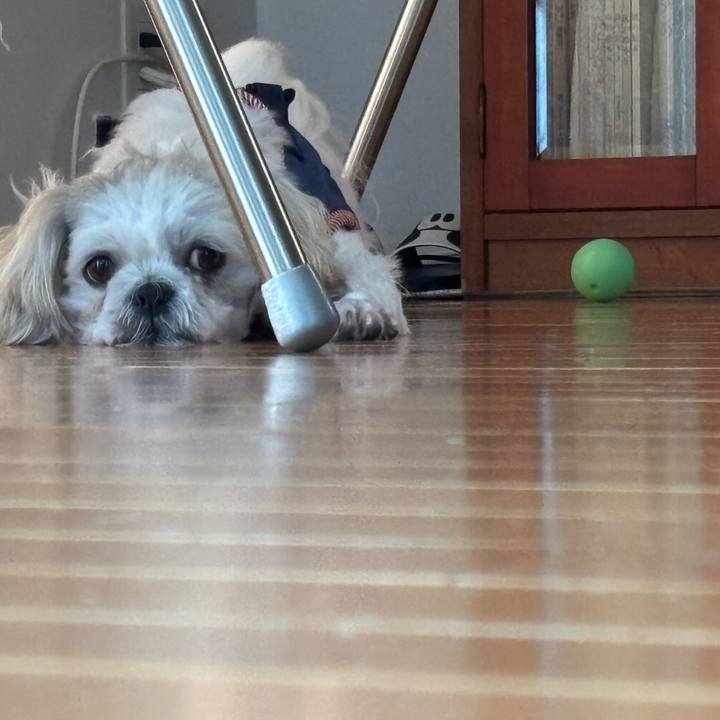 76f48cd8 9add 4756 8135 9ec5c6491dd1 1754344114777