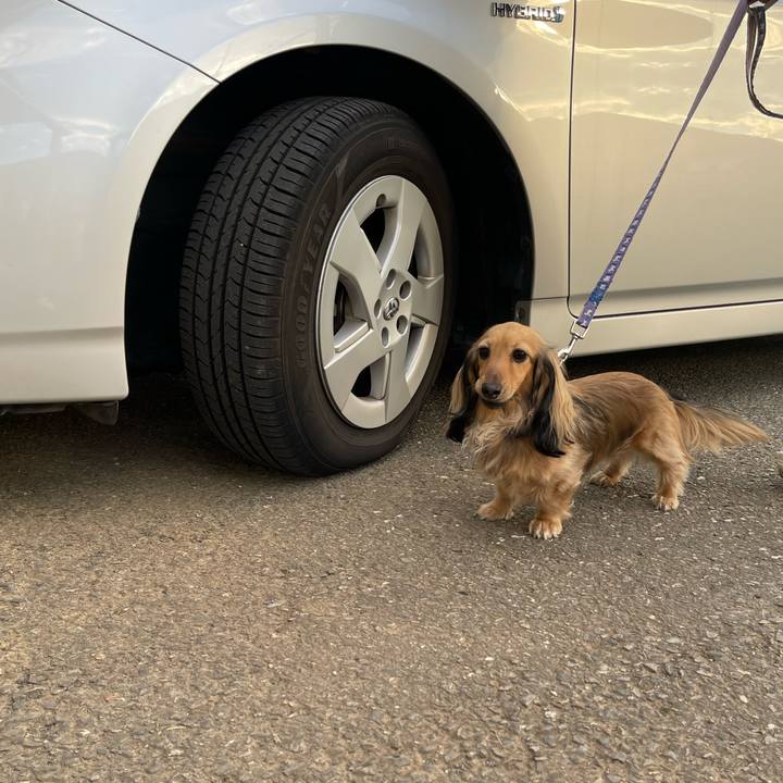 76f498b7 d9a7 40d7 9b11 2cf0c99b2544 1700290123288