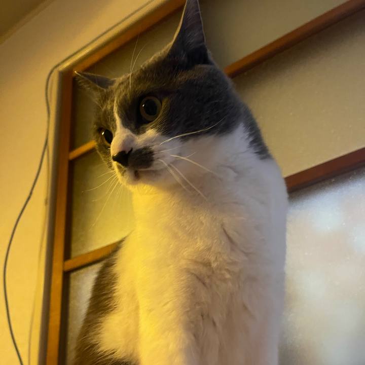 76f4b936 5e03 4072 b162 2dc18b5e79c0 1744673583285