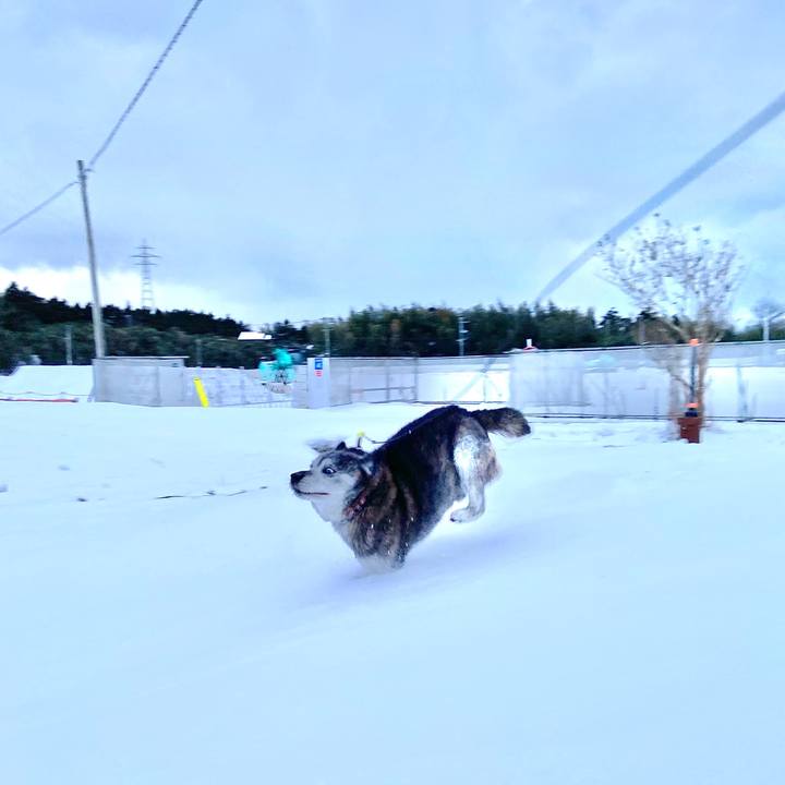 76f4cf2a 0367 4980 ac61 7f95f7f52ca8 1769338997662