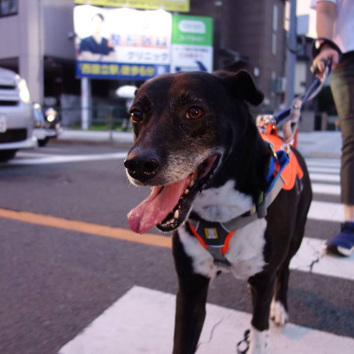 76f51c80 ef86 4ca3 bf6a cb93e88d0083 1720521812926