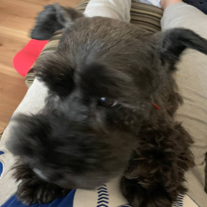 76f53afa 6ddb 4a7c 9e7b d35fce419203 1597975302342