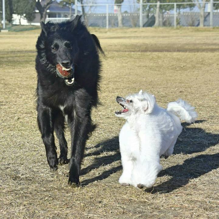 76f558e0 b812 4bed 91ac a514ae44b374 1515564909265