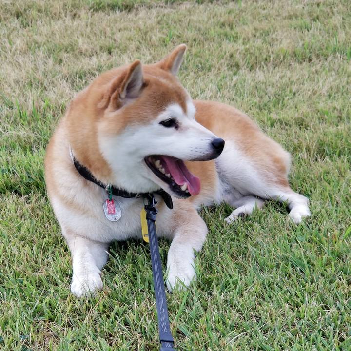 76f56f93 a0f9 48db 90cf 9a17ca90b8a3 1599465966960