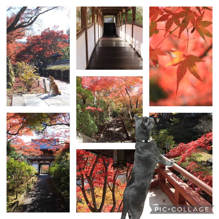 76f5add8 678f 438e a404 138385ac3258 1637841023446