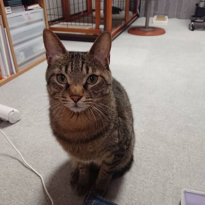 76f5d154 e5ad 43f2 a034 17ea31b4d2f9 1526205878308