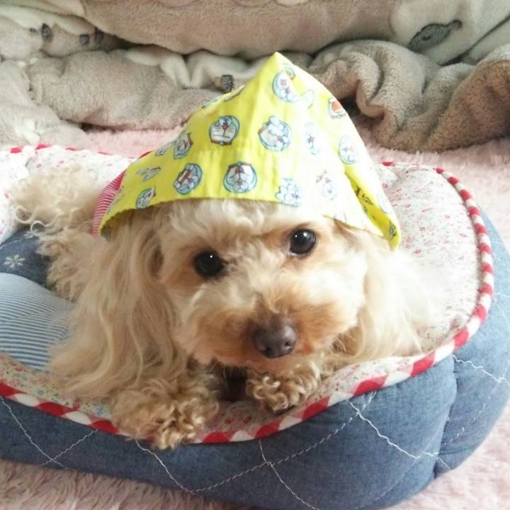 76f5f3e4 52e6 4219 90b3 102c47101bb8 1521118602099