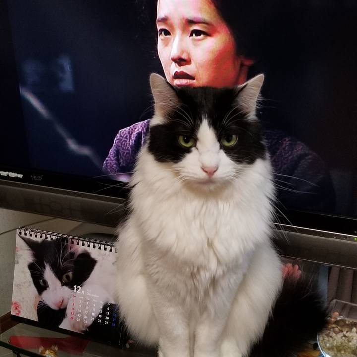 76f628e8 d7fc 4bc8 aad6 0ce2a8f5ee6a 1575584828870