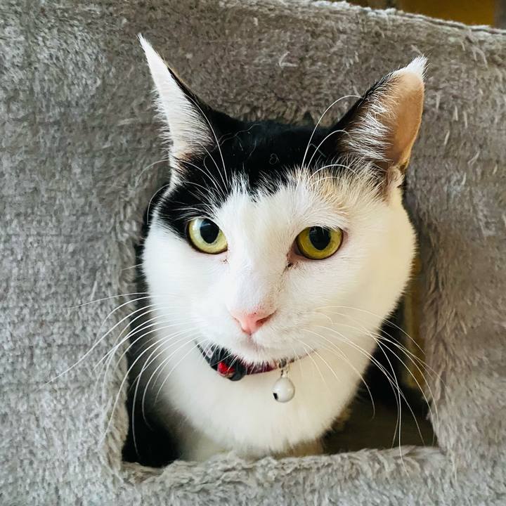 76f65340 7f69 4a38 b053 3ec7ae3f10cf 1667729742054