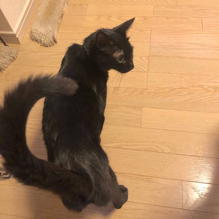 76f68ace d101 4ef5 a094 93f5ff93cd81 1562675205207