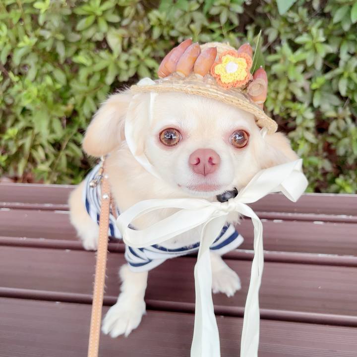 76f6c0e3 e4a2 45cd a5f2 70d82c7ce7b7 1695977655586