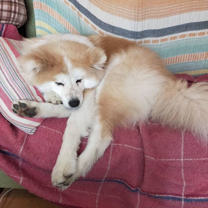 76f6c4e7 09c0 4aba b133 661e0bc05ce2 1645706578750