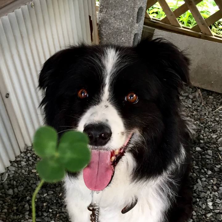 76f6ce58 44fe 40da 85de ad8f188f7efb 1721375804833