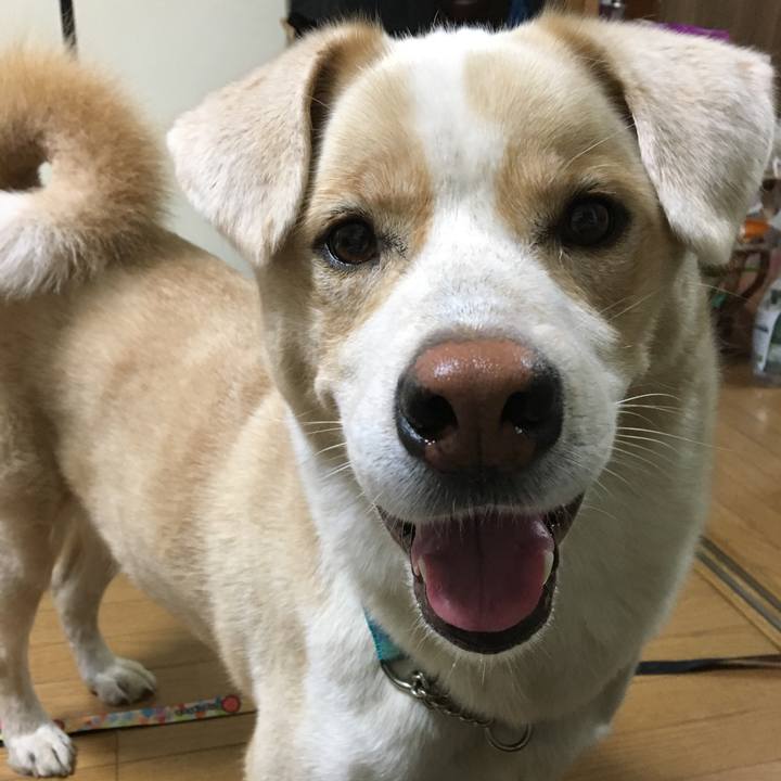 76f6e218 38da 423e b248 7980bac5cf07 1538370917464