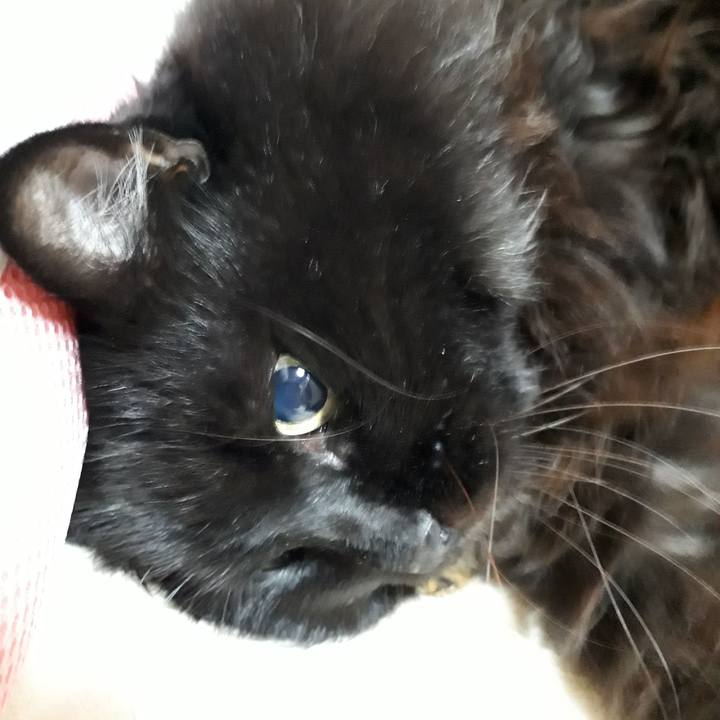 76f70d04 db97 424a a0f3 7e7e25af70db 1542893642294