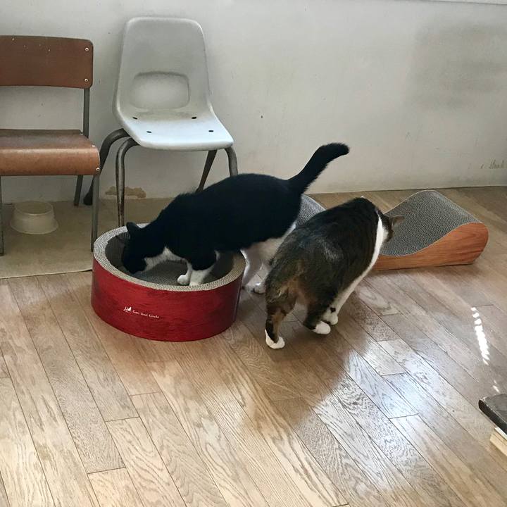 76f716f1 9b62 410f 937b ea6b20b8ebb0 1518147996147