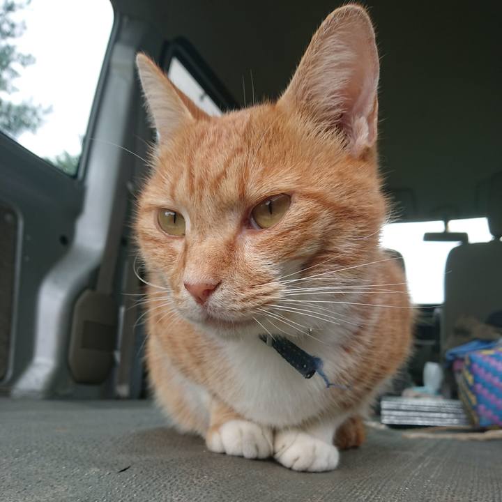 76f73e8b 2007 4200 abf7 b7f8d04a4e80 1599983989612