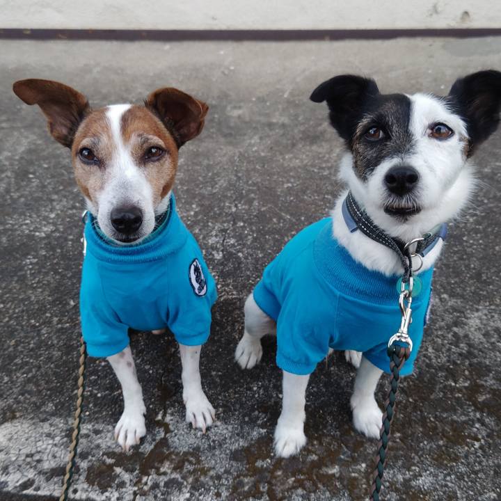 76f76a9e 3464 474c 807f e83600934755 1757541550216