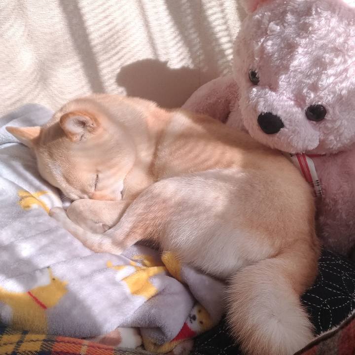 76f77475 357c 420c ae07 f85038514ae6 1576293410116