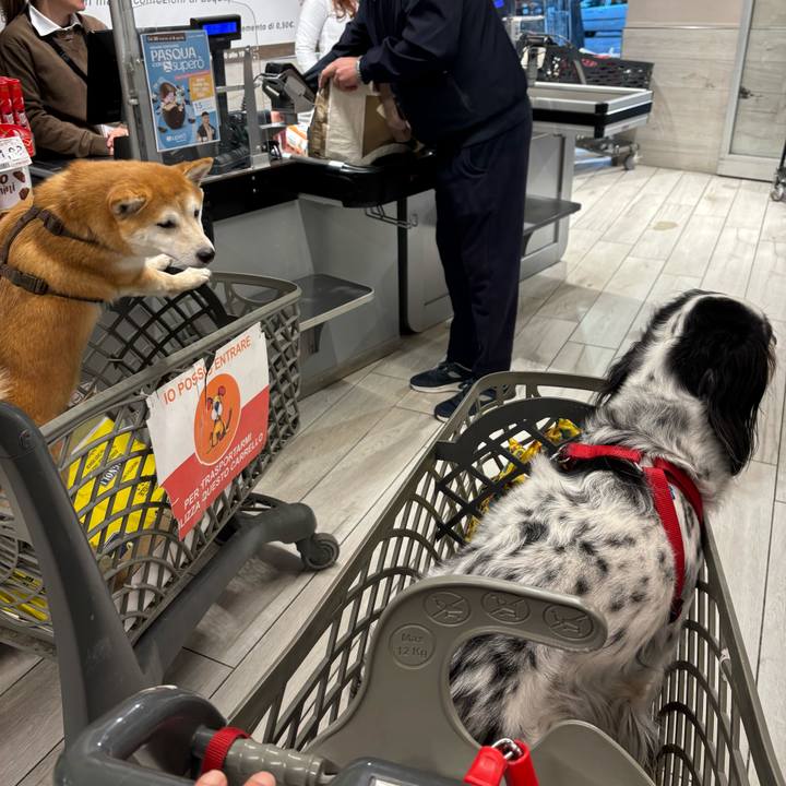 76f7ab5d 8513 4d9d acf6 1abb17a4ae32 1774718404064