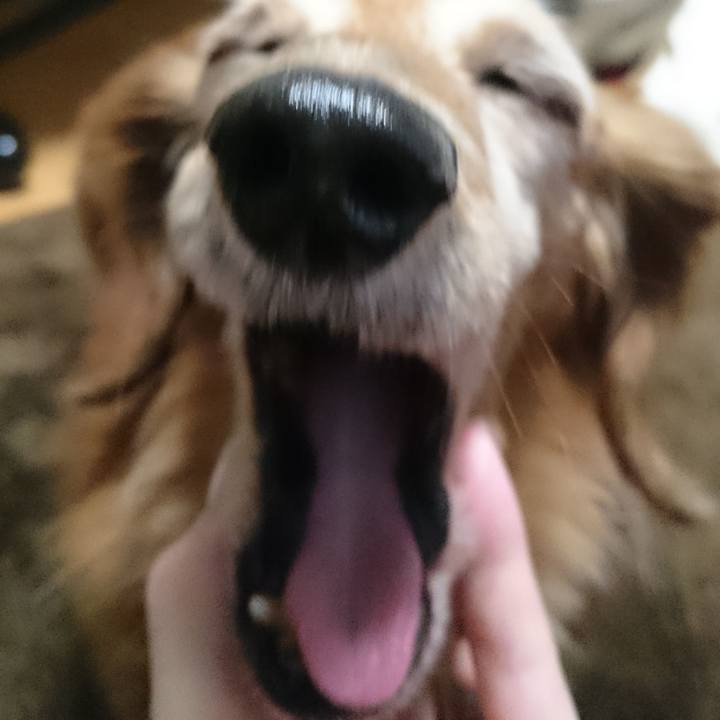 76f7c0c5 45fb 453e 8160 55c7b3bdfd34 1591551030759