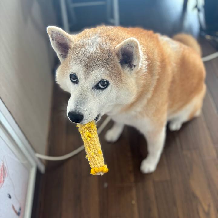 76f7cf06 3b1e 436b 8c78 1b21eb76d870 1749759744623