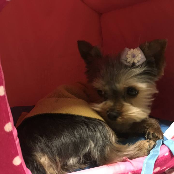 76f7d529 4d13 4a6f bed4 bbe31995ed7e 1549446191682