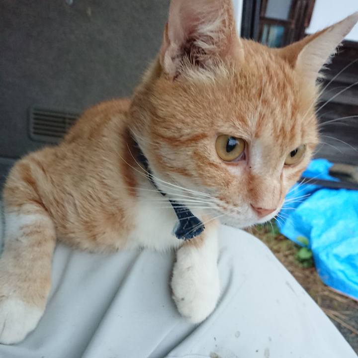 76f7fd9a 7bcf 40dd ad6d 54e6c8c55c2b 1560937243389