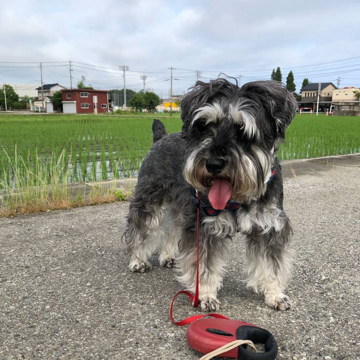 76f8195f 6583 4e4e bd80 d32e54ccc44f 1623709554973