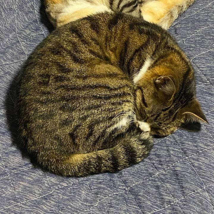 76f83aef d5ef 412e a93f 0fd72bb89ddd 1618569926652