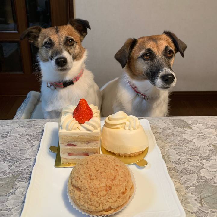 76f83bd6 26fb 4d1c 97d7 e1657a8117df 1648467817521