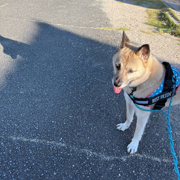 76f89d5d 2d0b 4aaf 96ed a94f930bf3e1 1753445276273