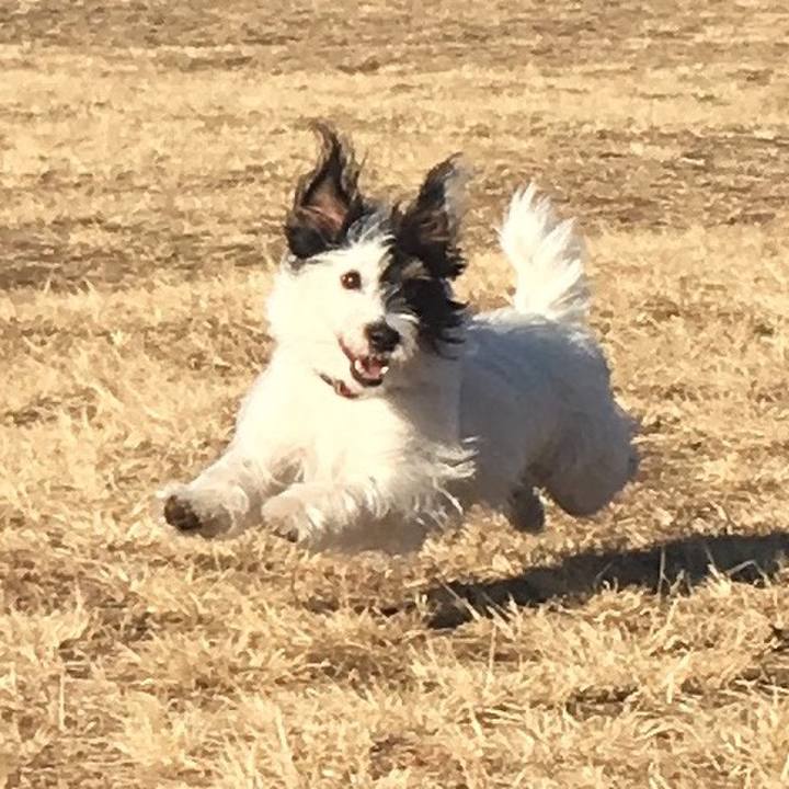 76f8b993 189e 46cf 854e 65b02acb386a 1515017471862