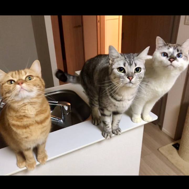 76f8ca59 12d1 4b08 9080 57fcb8eb814f 1549802545531