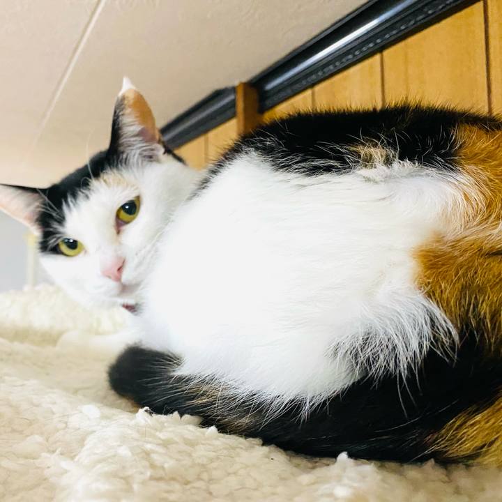 76f8d537 8ce2 41af b5f3 1317f6acf50c 1680349876855