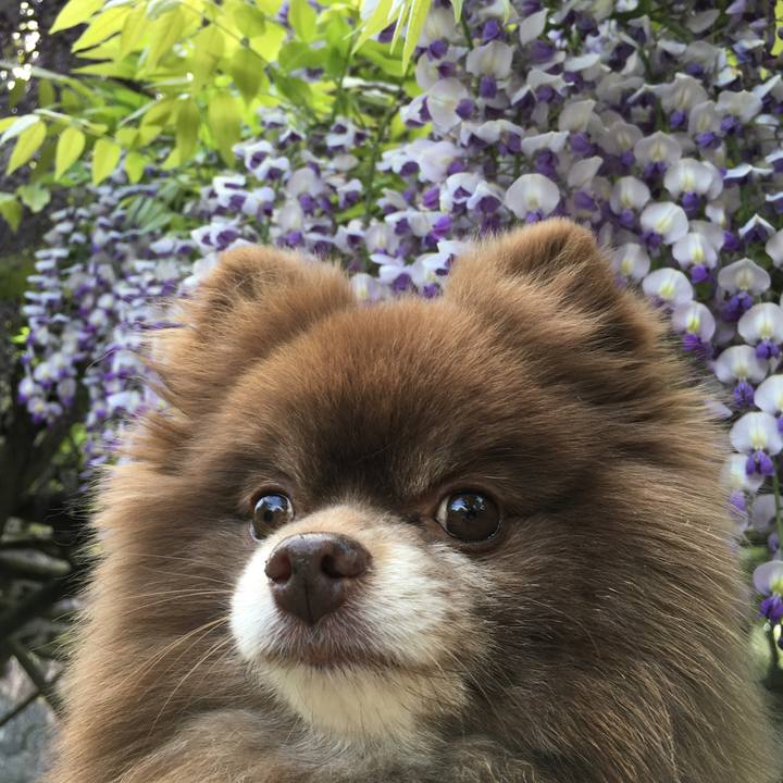 76f8dd50 c08f 4421 9e5f 849d80bd46f8 1527773727046