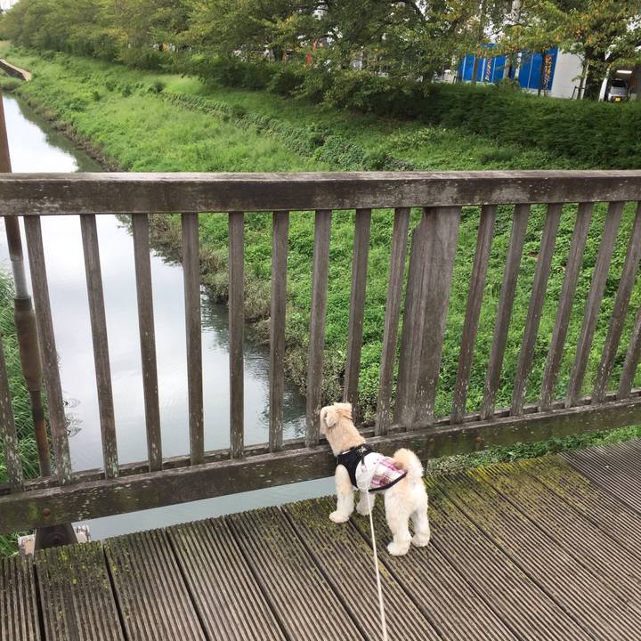 76f908e8 dfd9 46c7 8be5 10783a55e6aa 1537072133610