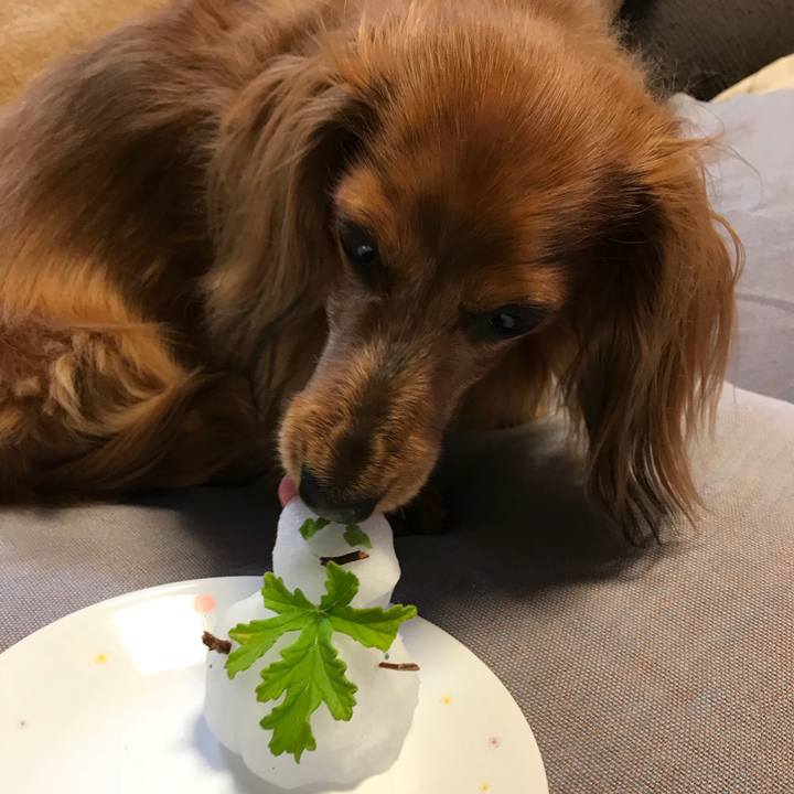 76f93384 9121 44ff b1ea 949f2599cce2 1516619344669