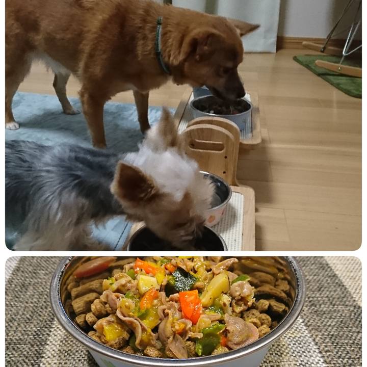 76f9483a 7387 46a8 9624 09bdbc0c8c35 1545612514218