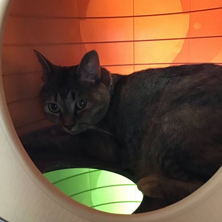 76f94c71 870e 40d1 a60f 8b79827d9d89 1688559519129