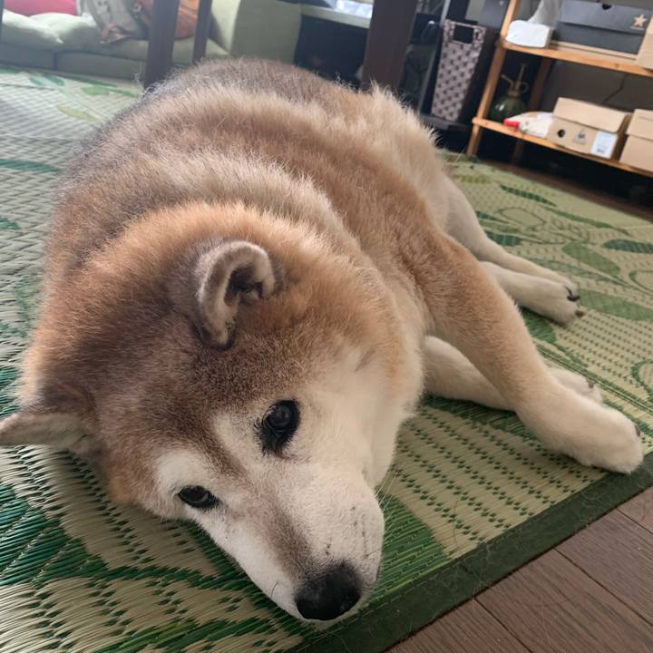 76f9506c 35b4 4da5 93fe 99280a91b515 1623548567039