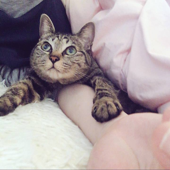 76f95c1f 3abd 47b7 b4d6 1de0936b2e39 1513654998552