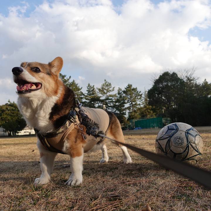 76f9773a 4d09 410a 9f2f 38be09fb5bd0 1763305353308