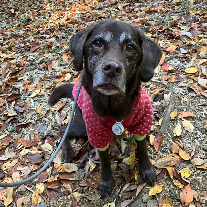 76f9a8e5 3cce 4da4 b7eb 4f078142b0ee 1763382542030